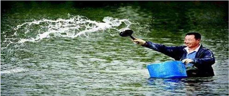 潤(rùn)東源50粉使用場(chǎng)景